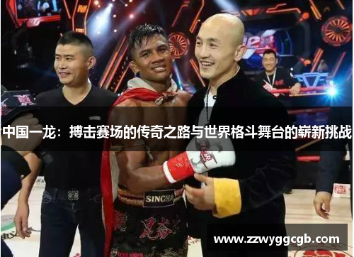 中国一龙：搏击赛场的传奇之路与世界格斗舞台的崭新挑战