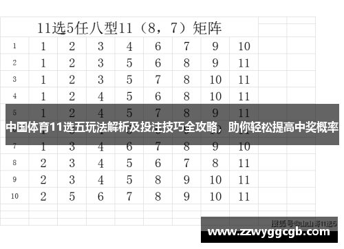 中国体育11选五玩法解析及投注技巧全攻略，助你轻松提高中奖概率