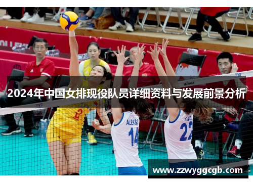 2024年中国女排现役队员详细资料与发展前景分析
