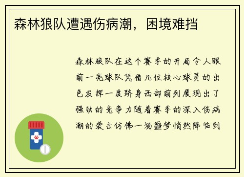 森林狼队遭遇伤病潮，困境难挡